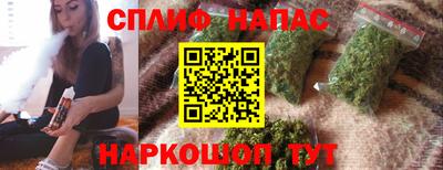 Альфа ПВП Будённовск