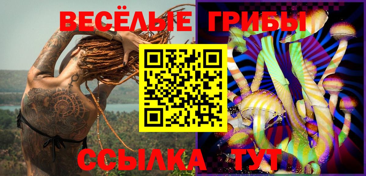 магазин продажи   Псилоцибиновые грибы мухоморы  Вход с VPN  Санкт-Петербург 