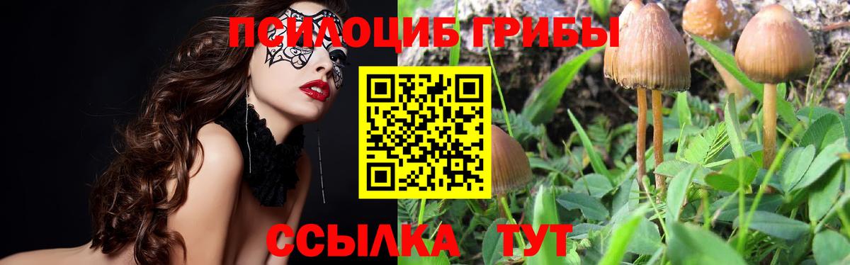 Галлюциногенные грибы GOLDEN TEACHER Санкт-Петербург